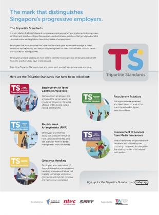 TS Infographics